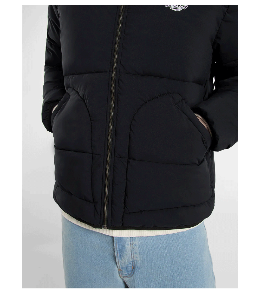 Dickies Jackson Jacket - Giacche Uomo Beige | Nencini Sport